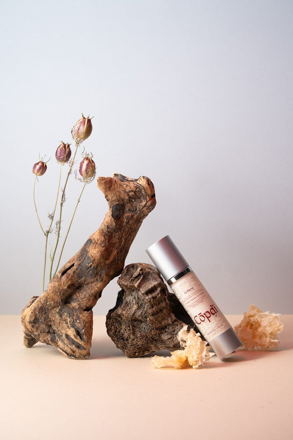 Cōpḍī Plump bottle against driftwood with dried nigella flowers